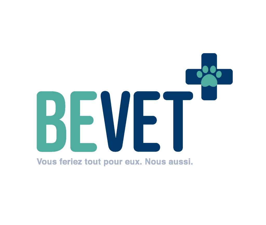 Bevet