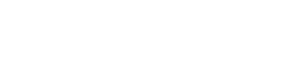 DHL Supply chain blanc