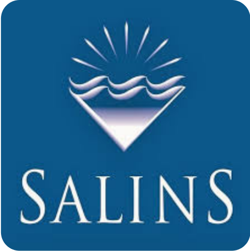 Logo-Salins 1-1