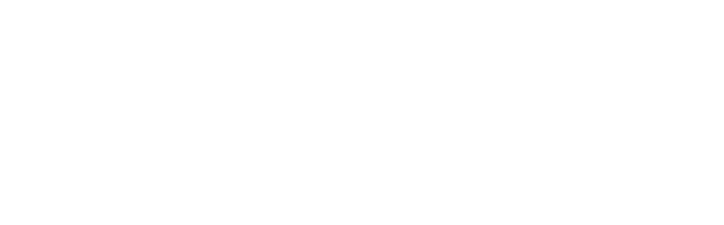 logo CNAV blanc