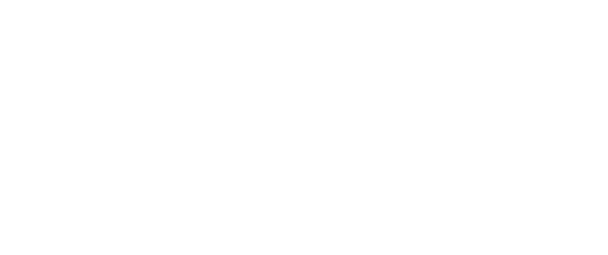 logo forvis mazar blanc