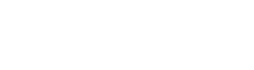 logo vinci blanc